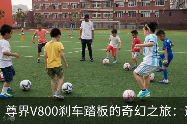 尊界V800刹车踏板的奇幻之旅：退车潮与神秘检测