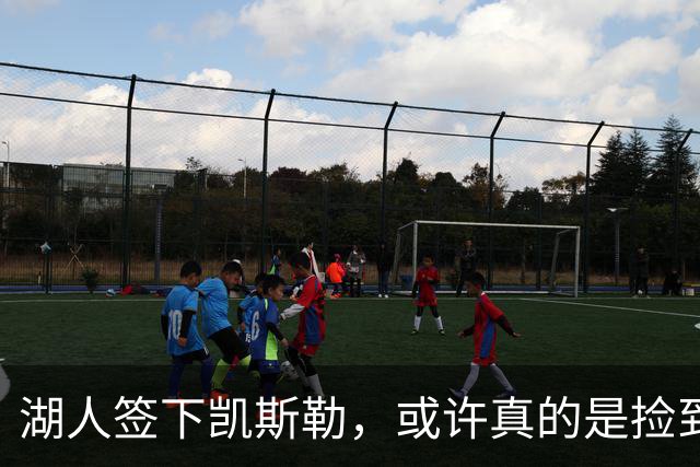湖人签下凯斯勒，或许真的是捡到宝的操作！